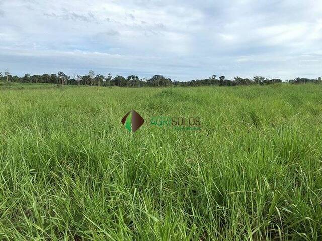 Fazenda para Venda em Juína - 4