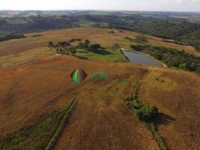 #134 - Fazenda para Venda em Curitiba - PR - 1