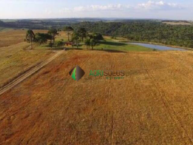Fazenda para Venda em Curitiba - 4