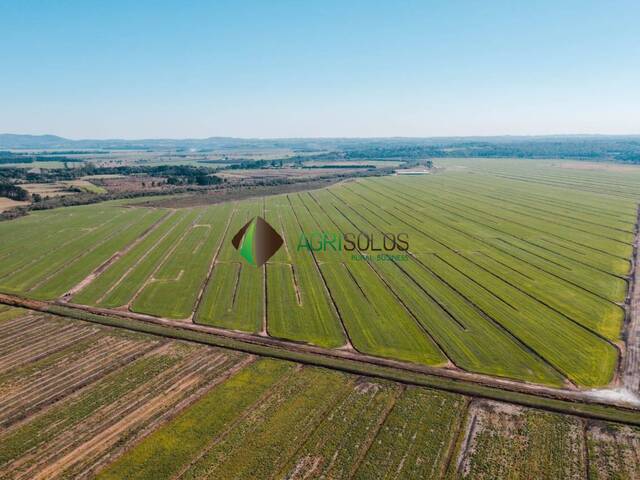 Fazenda para Venda em Tijucas do Sul - 4