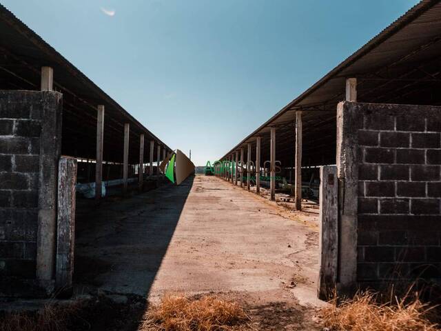 #135 - Fazenda para Venda em Tijucas do Sul - PR