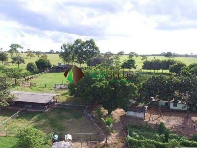 #136 - Fazenda para Venda em Goiânia - GO