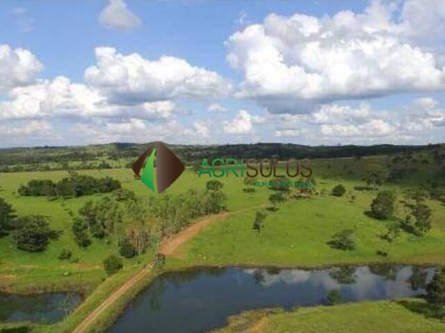 #136 - Fazenda para Venda em Goiânia - GO