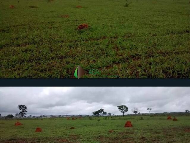 #137 - Fazenda para Venda em Goiânia - GO - 2