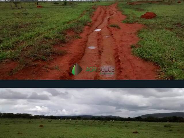 #137 - Fazenda para Venda em Goiânia - GO - 1