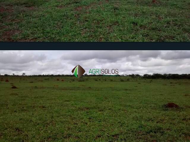 #137 - Fazenda para Venda em Goiânia - GO