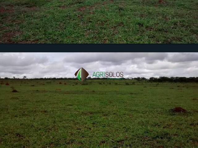 #137 - Fazenda para Venda em Goiânia - GO - 3