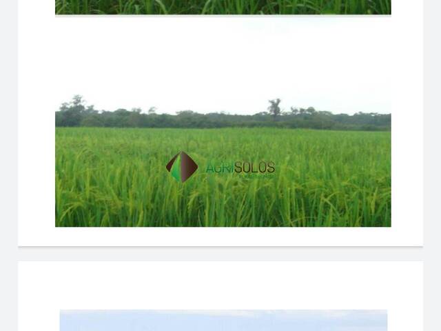 Fazenda para Venda em Sorriso - 5