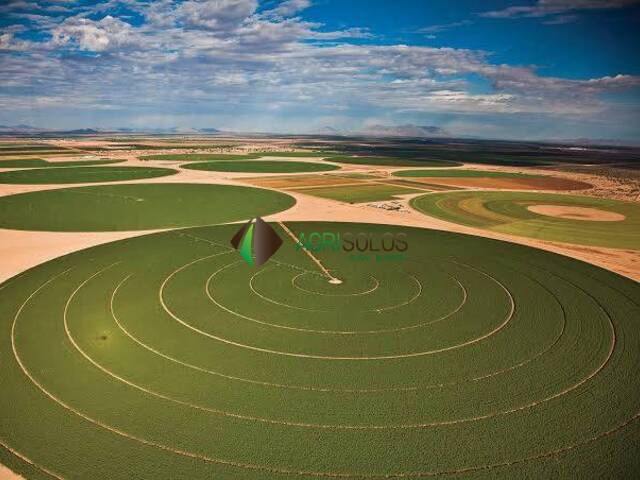 #143 - Fazenda para Venda em Barreiras do Piauí - PI - 1