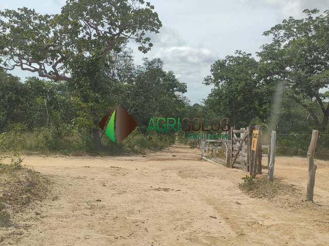 Fazenda para Venda em Balsas - 5