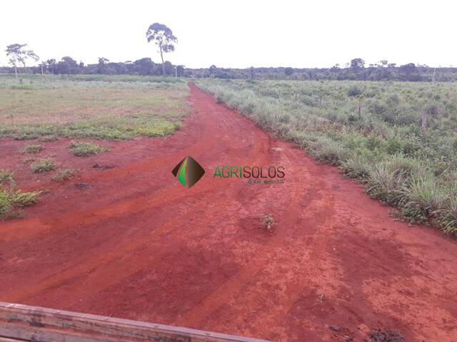 #145 - Fazenda para Venda em Redenção - PA