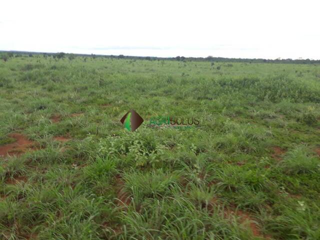 Fazenda para Venda em Redenção - 5