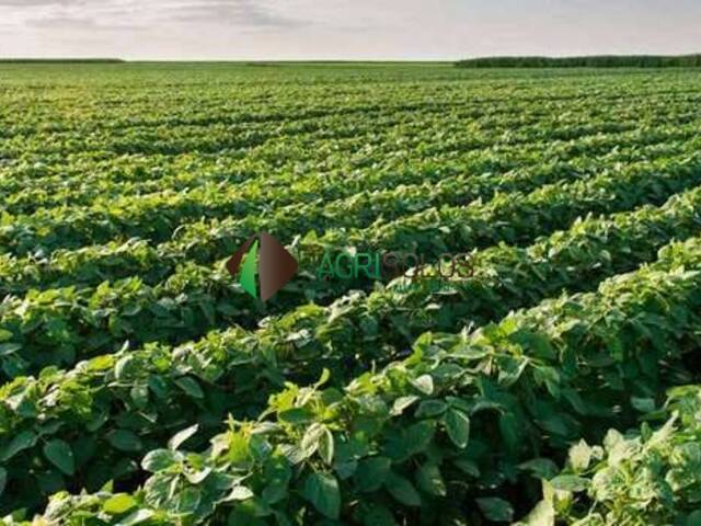 #146 - Fazenda para Venda em Brasnorte - MT