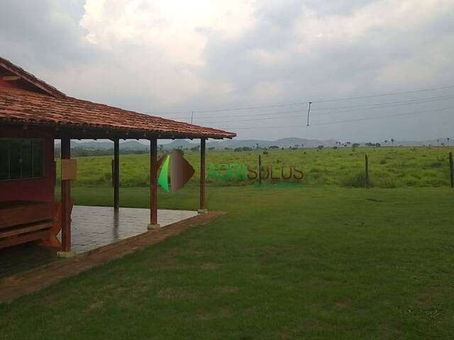 #147 - Fazenda para Venda em Cumaru do Norte - PA - 3