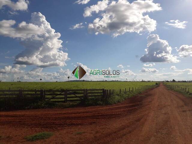 Fazenda para Venda em Cumaru do Norte - 4