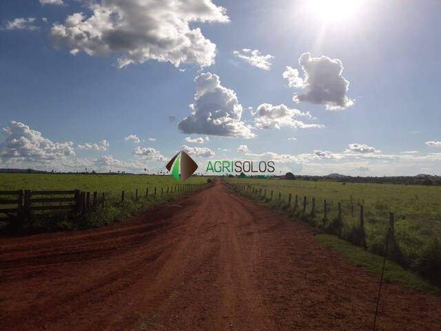 #147 - Fazenda para Venda em Cumaru do Norte - PA - 1