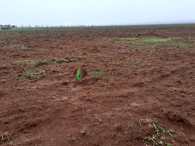 Fazenda para Venda em Pontes e Lacerda - 4