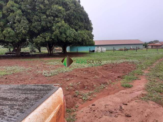 Fazenda para Venda em Pontes e Lacerda - 5