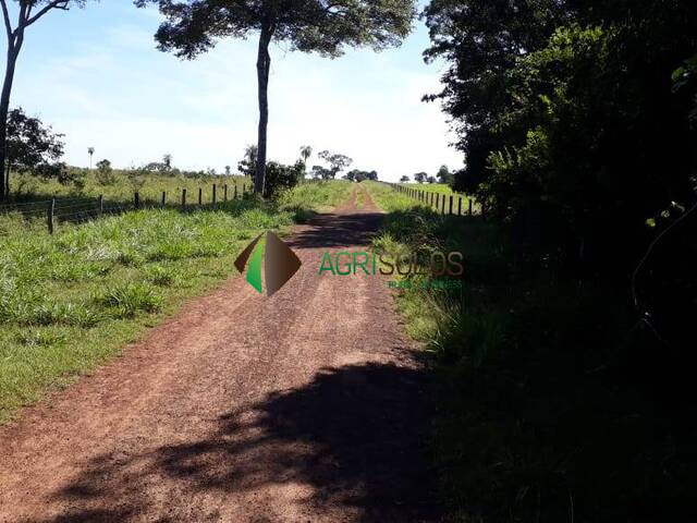 #157 - Fazenda para Venda em Pontes e Lacerda - MT - 3