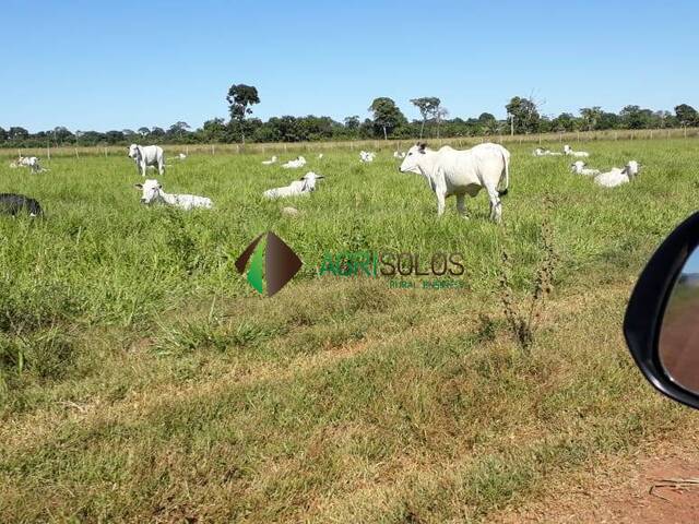 Fazenda para Venda em Pontes e Lacerda - 5