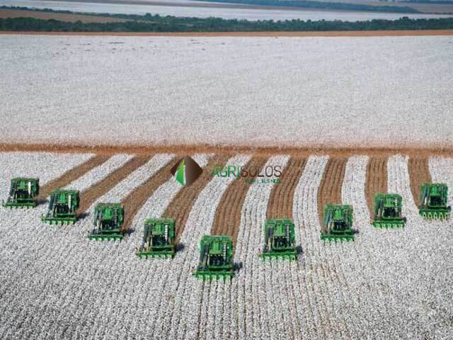 #158 - Fazenda para Venda em Formosa do Rio Preto - BA