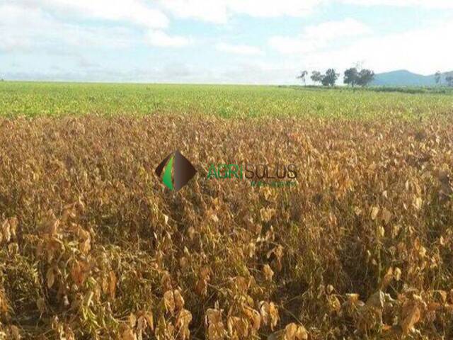 Fazenda para Venda em Redenção - 4