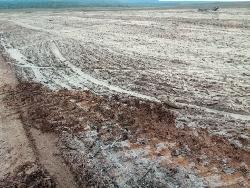 #164 - Fazenda para Venda em Balsas - MA - 1