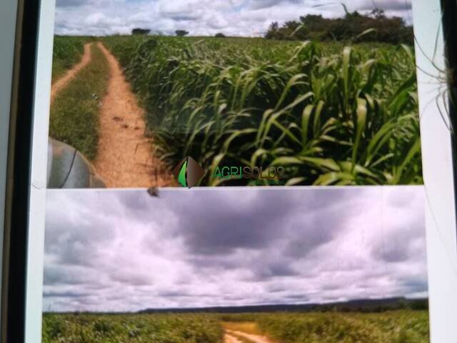 Chácara para Venda em Araguaína - 4