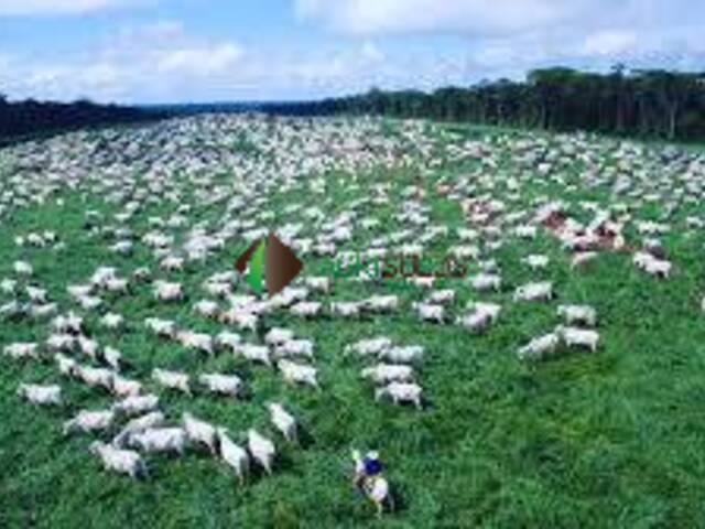 Venda em Zona rural - Palmas