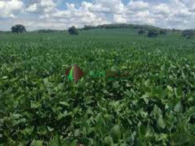 #184 - Fazenda para Venda em Araguaína - TO - 3