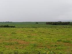 #164 - Fazenda para Venda em Balsas - MA - 2