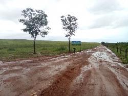 #165 - Fazenda para Venda em Balsas - MA - 1