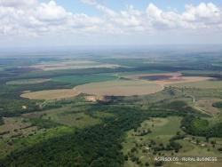Fazenda para Venda em Paracatu - 4