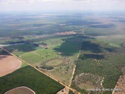 Fazenda para Venda em Paracatu - 5