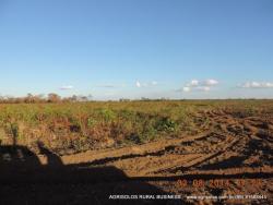 #21 - Fazenda para Venda em Balsas - MA