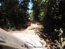 Fazenda para Venda em Balsas - 4