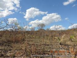 Fazenda para Venda em Balsas - 5