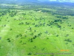 #25 - Fazenda para Venda em Gurupi - TO - 3