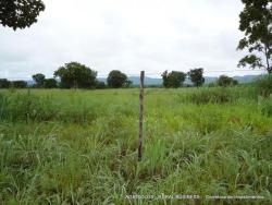 Fazenda para Venda em Gurupi - 5