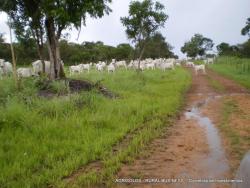 #25 - Fazenda para Venda em Gurupi - TO - 1