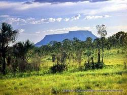 Fazenda para Venda em Imperatriz - 4