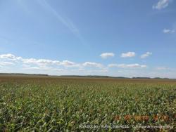 Fazenda para Venda em Balsas - 5