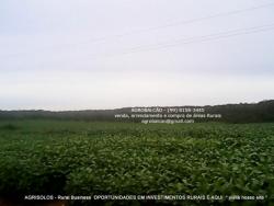 Fazenda para Venda em Balsas - 4