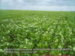 Fazenda para Venda em Balsas - 5