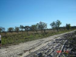 Chácara para Venda em Balsas - 4