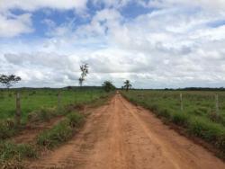 Fazenda para Venda em Porto Franco - 5