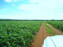 #32 - Fazenda para Venda em Nova Santa Helena - MT - 1