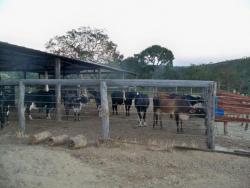 Fazenda para Venda em Luziânia - 4