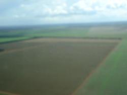 Fazenda para Venda em Balsas - 4