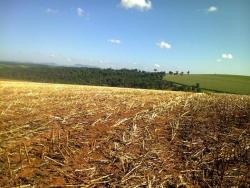 #39 - Fazenda para Venda em Poços de Caldas - MG - 1